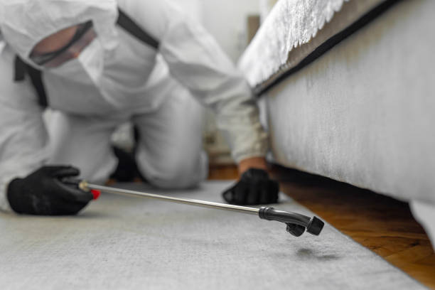 Professional Bed Bug Control technician working in Clay County County, WV
